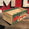 画像5: Vintage Grocery Store Tomato Handy Basket (B129)