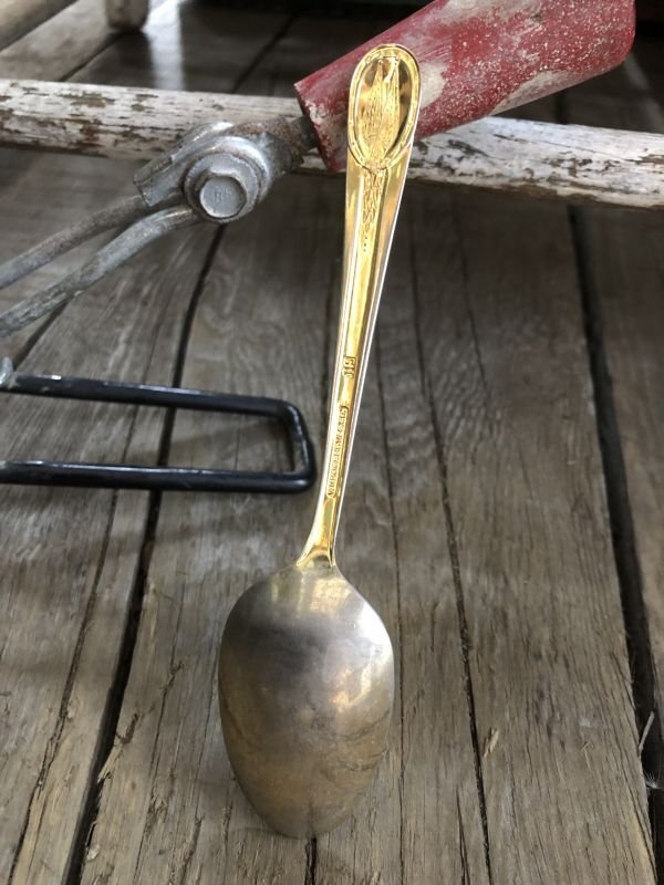 画像5: Vintage Spoon  George Washington (B175)