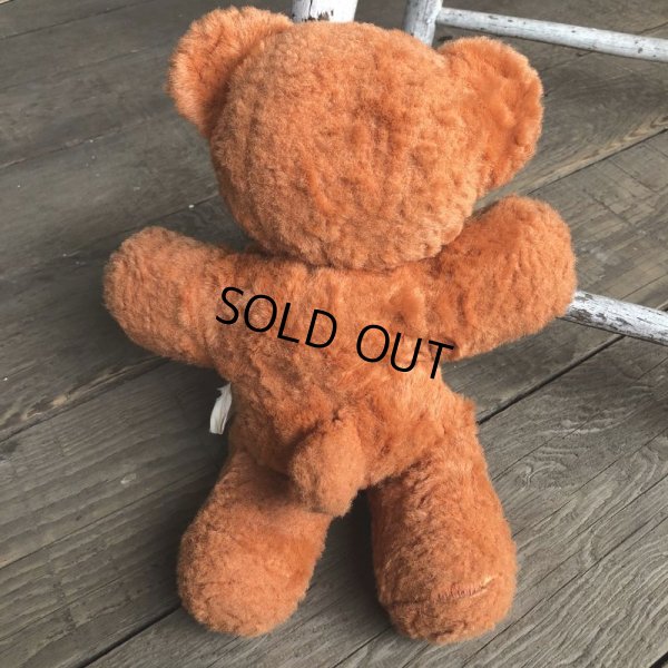 画像7: Vintage Rubber Face Doll Brown Bear (B395)