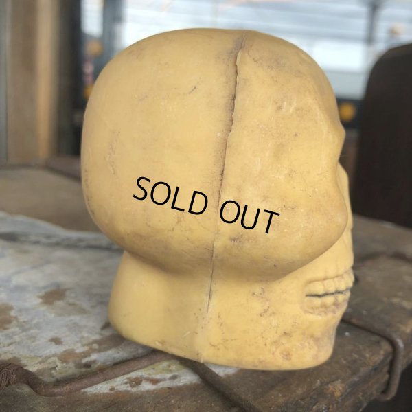 画像3: Vintage Halloween Decoration Skull Blow Mold Plastic Lamp Head (B461)