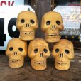 画像7: Vintage Halloween Decoration Skull Blow Mold Plastic Lamp Head (B463)