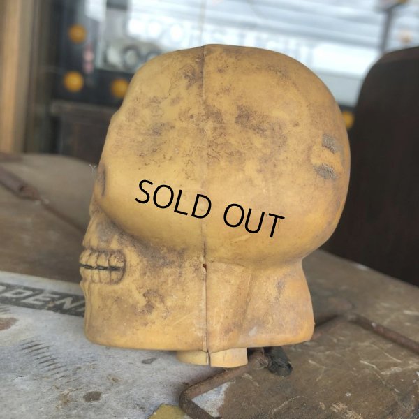 画像5: Vintage Halloween Decoration Skull Blow Mold Plastic Lamp Head (B460)
