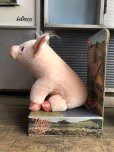 画像3: Vintage Babe Movie The Gallant Pig Plush Doll (B468)