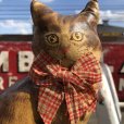 画像12: 1930s〜 Antique Cats Kitten Lithographed Oil Cloth Dolls (B488)