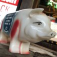 画像6: 50s Vintage RICE's Piggy Bank (B541)