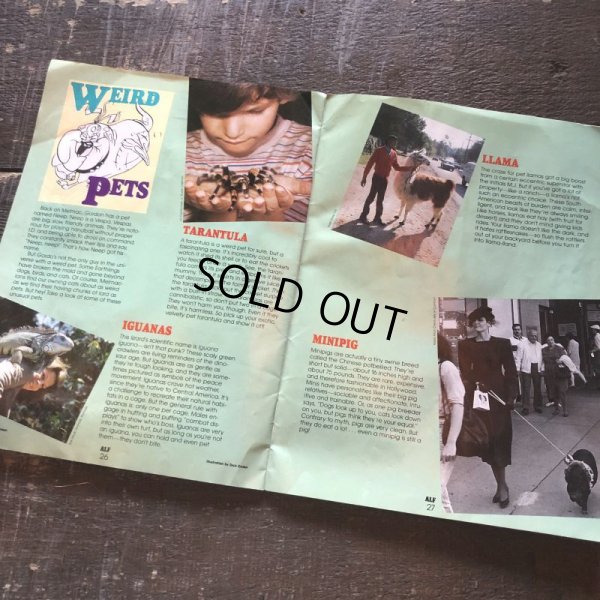 画像6: Vintage ALF Magazine WINTER 1989 (B660) 