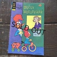 70s Vintage Whitman Woody Woodpecker Comic (B653) 