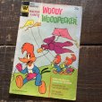 画像1: 70s Vintage Whitman Woody Woodpecker Comic (B652)  (1)