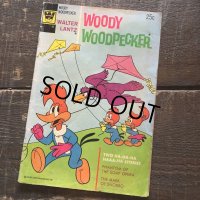 70s Vintage Whitman Woody Woodpecker Comic (B652) 