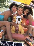 画像5: 80s Vintage Budweiser Advertising Bud Light Spuds MacKenzie Poster Store Sign (B755) 