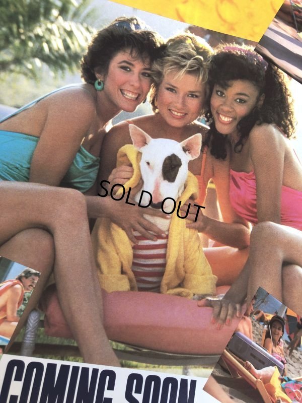 画像5: 80s Vintage Budweiser Advertising Bud Light Spuds MacKenzie Poster Store Sign (B755) 