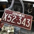 画像1: 60s Vintage American License Number Plate (B838) (1)