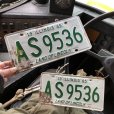 画像1: 60s Vintage American License Number Plate SET (B842) (1)