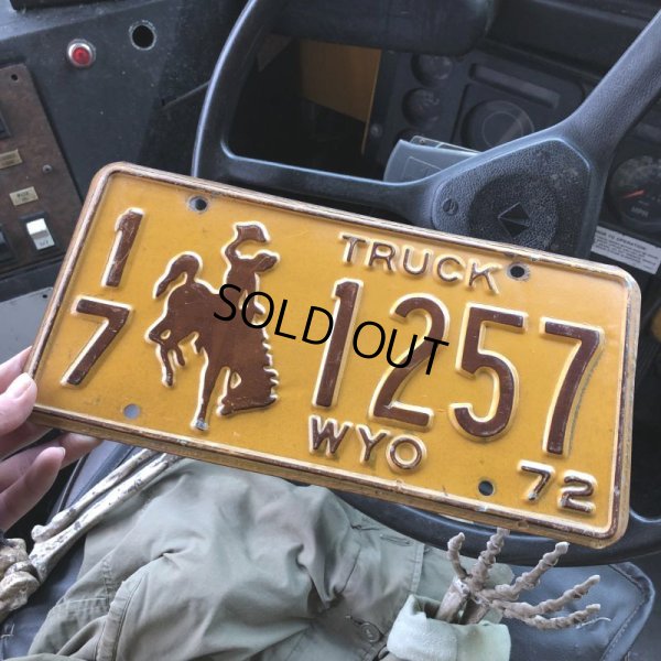 画像1: 70s Vintage American License Number Plate (B826)