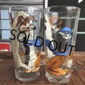 70s Vintage Pepsi Glass Road Runner & Wile E. Coyote (B913)