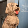 画像7: 60s Vintage DELL WDP The Shaggy Dog Rubber Doll (B966)