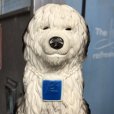 画像4: Vintage PF Savings Shaggy Dog Bank (B965)