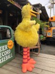 画像2: Vintage Sesame Street Big Bird Store Display Life size Statue RARE! Hard to Find!!! (B968) (2)