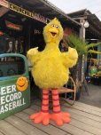 画像1: Vintage Sesame Street Big Bird Store Display Life size Statue RARE! Hard to Find!!! (B968) (1)