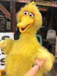 画像18: Vintage Sesame Street Big Bird Store Display Life size Statue RARE! Hard to Find!!! (B968)