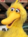 画像6: Vintage Sesame Street Big Bird Store Display Life size Statue RARE! Hard to Find!!! (B968)