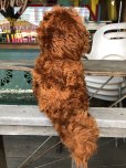 画像4: 70s Vintage Knickerbocker Sesame Street Snuffy Plush Doll (B953)