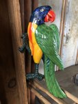 画像1: 70s Vintage Parrot Wall Hangings Statue (C026) (1)