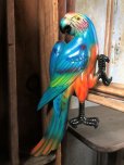 画像1: 70s Vintage Parrot Wall Hangings Statue (C028) (1)