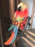 70s Vintage Parrot Wall Hangings Statue (C029)