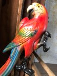 画像5: 70s Vintage Parrot Wall Hangings Statue (C029)