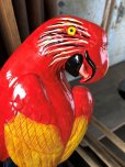 画像7: 70s Vintage Parrot Wall Hangings Statue (C025)