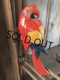 70s Vintage Parrot Wall Hangings Statue (C025)