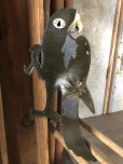 画像2: 70s Vintage Parrot Wall Hangings Statue (C027) (2)