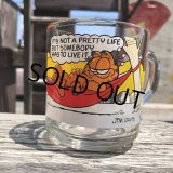 80s Vintage ANCHOR HOCKING Glass McDonald's GARFIELD Mug Cup (C186)