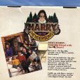 画像2: 90s Vintage galoob Harry and the Hendersons 18” Doll (C252) (2)