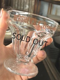 70s Vintage Hershey's Chocolate Lover Sundae Glass B (C315)
