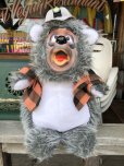 画像1: Vintage Disney BIG AL Plush Doll Vacation Hoedown Ver. (C340)  (1)