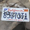 American License Number Plate / California 85073T1 (B389)