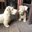 画像12: Vintage Sealyham Terrier Heavy Cast Iron Door Stop Statue (B492)