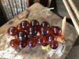画像5: Vintage Mid-Century Lucite Acrylic Amber Grapes on Driftwood Base (B499)