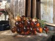 画像5: Vintage Mid-Century Lucite Acrylic Amber Grapes on Driftwood Base (B498)