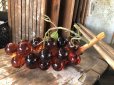 画像4: Vintage Mid-Century Lucite Acrylic Amber Grapes on Driftwood Base (B499)