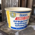 Vintage Wax Paper Cup Borden (B527)
