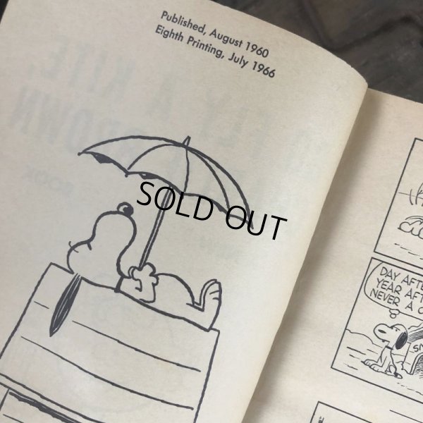画像5: Vintage Book SNOOPY / GO FLY A KITE, CHARLIE BROWN (B551)