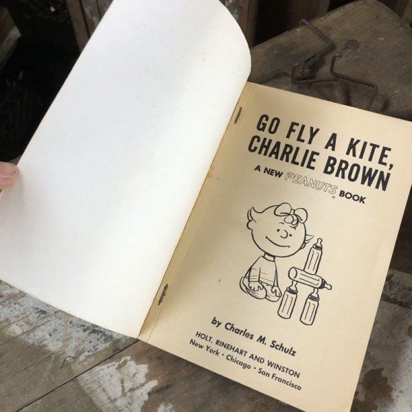 画像2: Vintage Book SNOOPY / GO FLY A KITE, CHARLIE BROWN (B551)