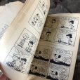 画像9: Vintage Book SNOOPY more PEANUTS (B547)