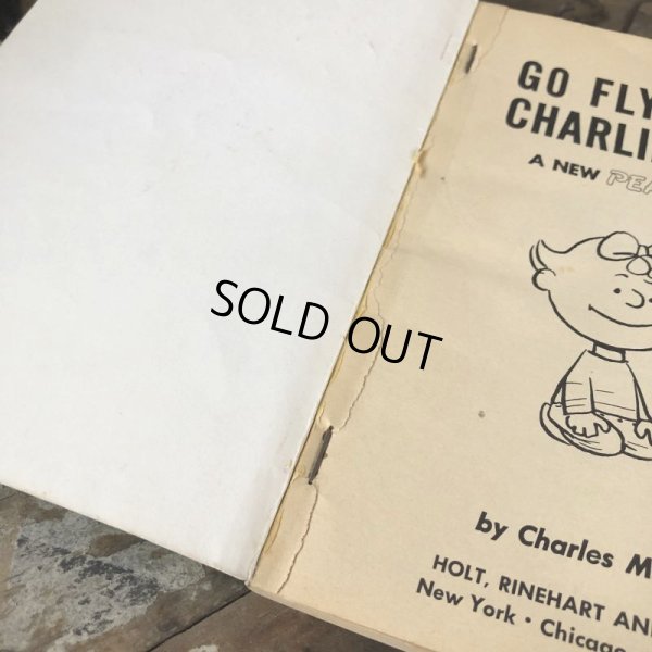 画像3: Vintage Book SNOOPY / GO FLY A KITE, CHARLIE BROWN (B551)