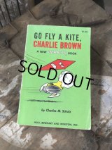 Vintage Book SNOOPY / GO FLY A KITE, CHARLIE BROWN (B551)