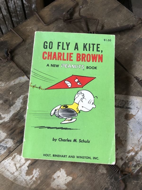 画像1: Vintage Book SNOOPY / GO FLY A KITE, CHARLIE BROWN (B551)