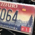 画像2: 90s Vintage American License Number Plate / IDAHO 2T 5064 (B613) (2)